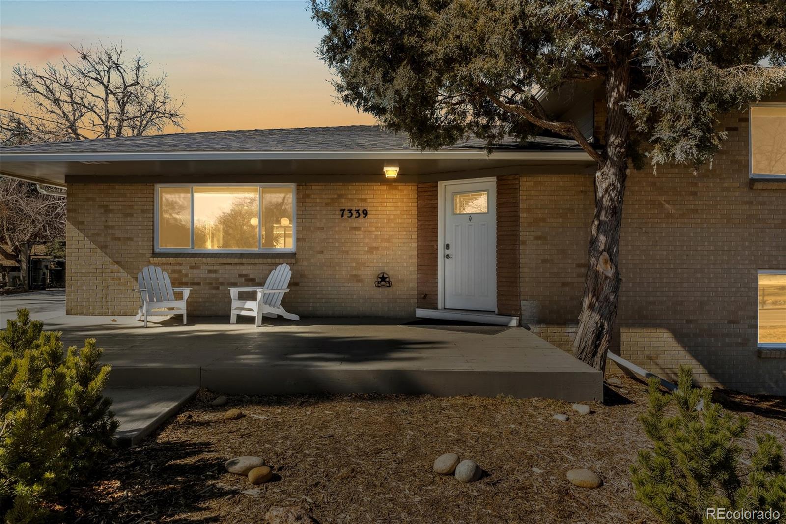 CMA Image for 7339  Carr Street,Arvada, Colorado