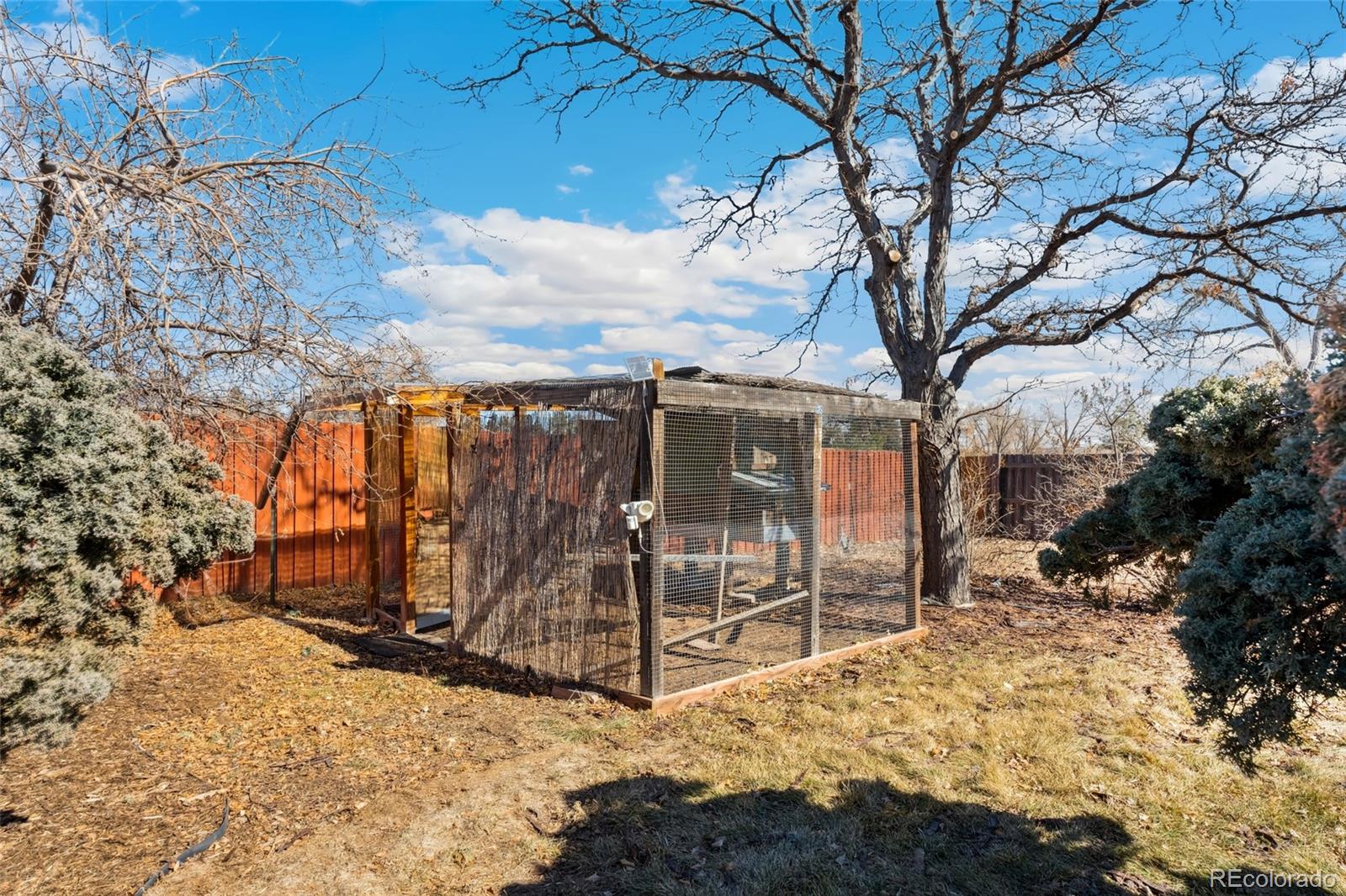 MLS Image #36 for 7339  carr street,arvada, Colorado