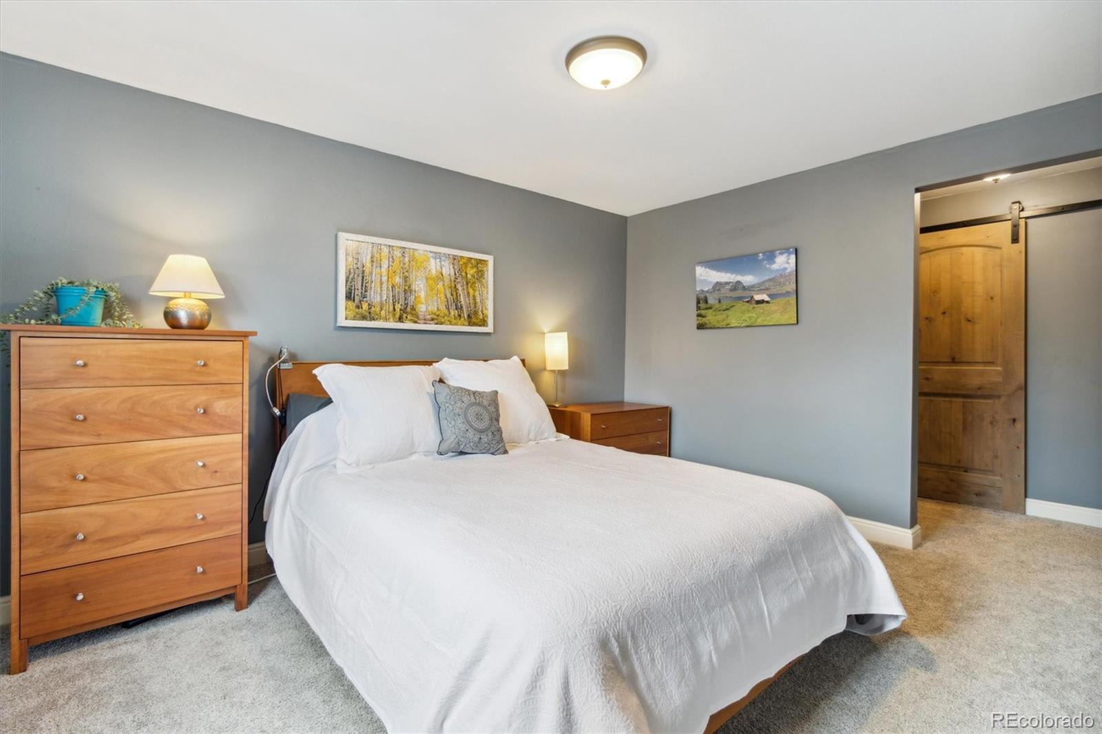 MLS Image #11 for 779  aspen way,evergreen, Colorado