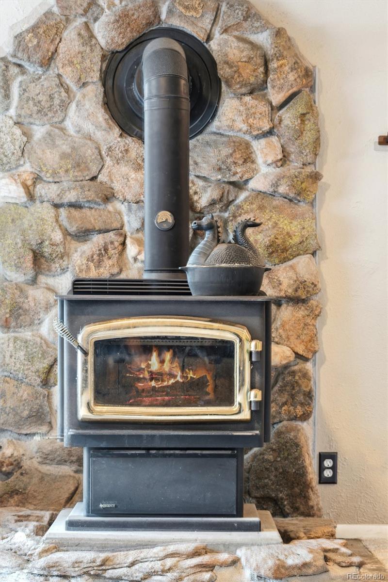 MLS Image #18 for 779  aspen way,evergreen, Colorado