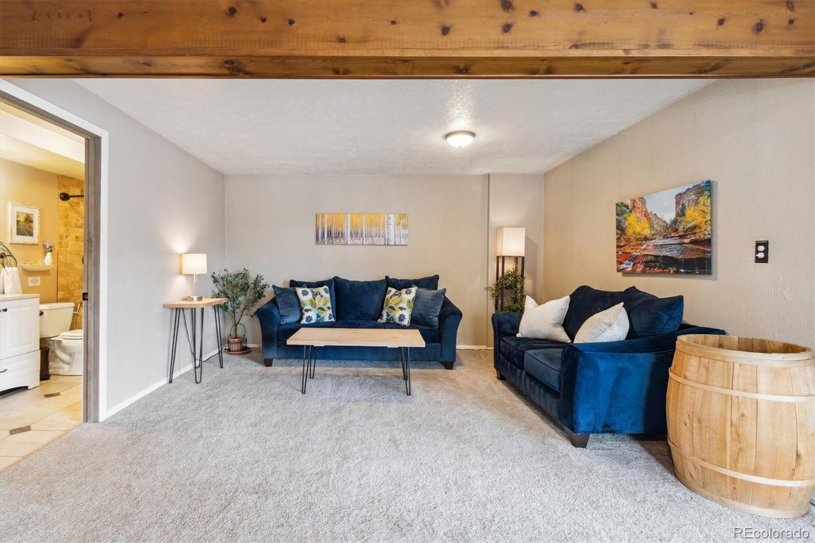 MLS Image #25 for 779  aspen way,evergreen, Colorado