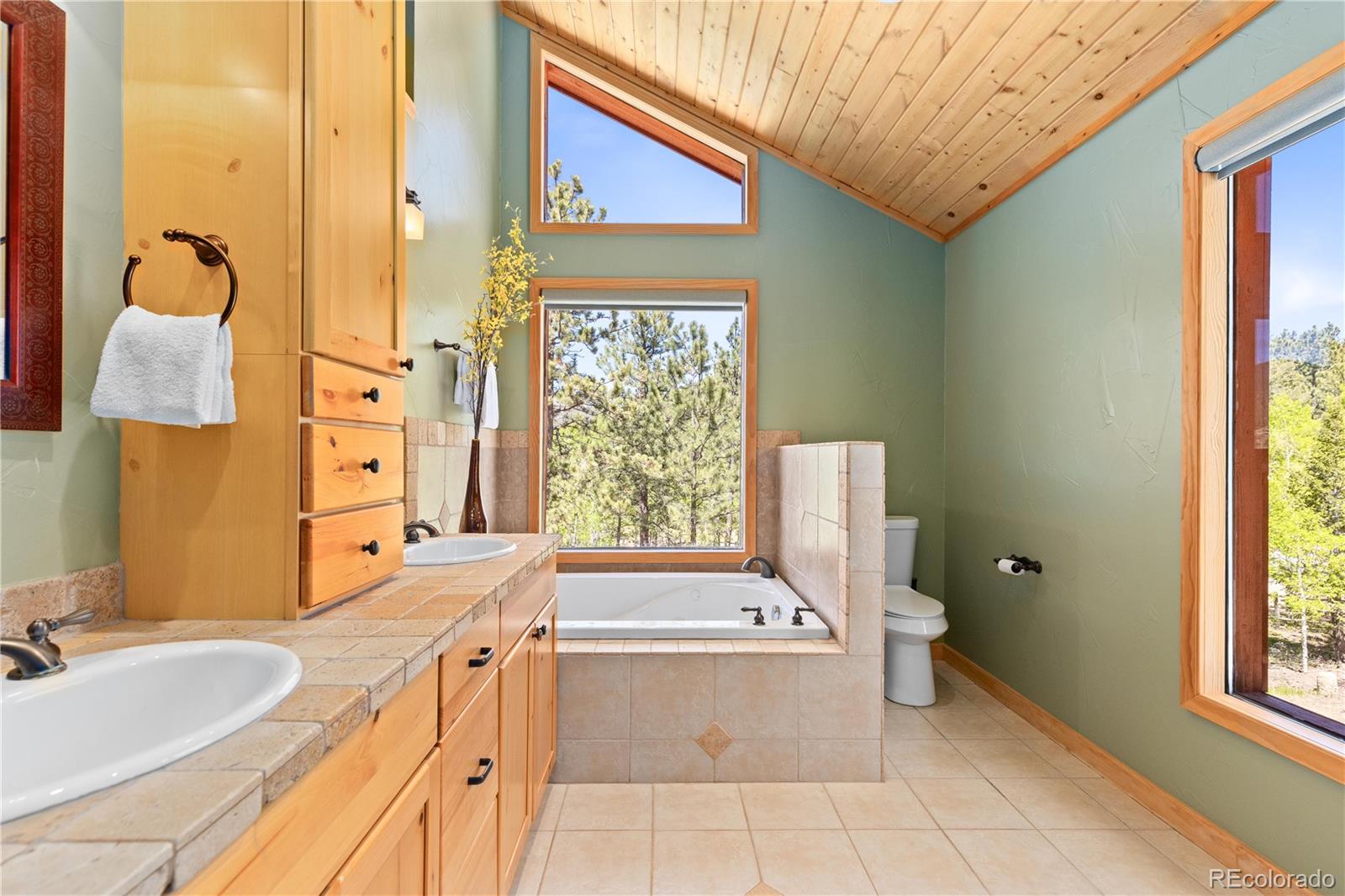 MLS Image #25 for 277  rustlers road,bailey, Colorado