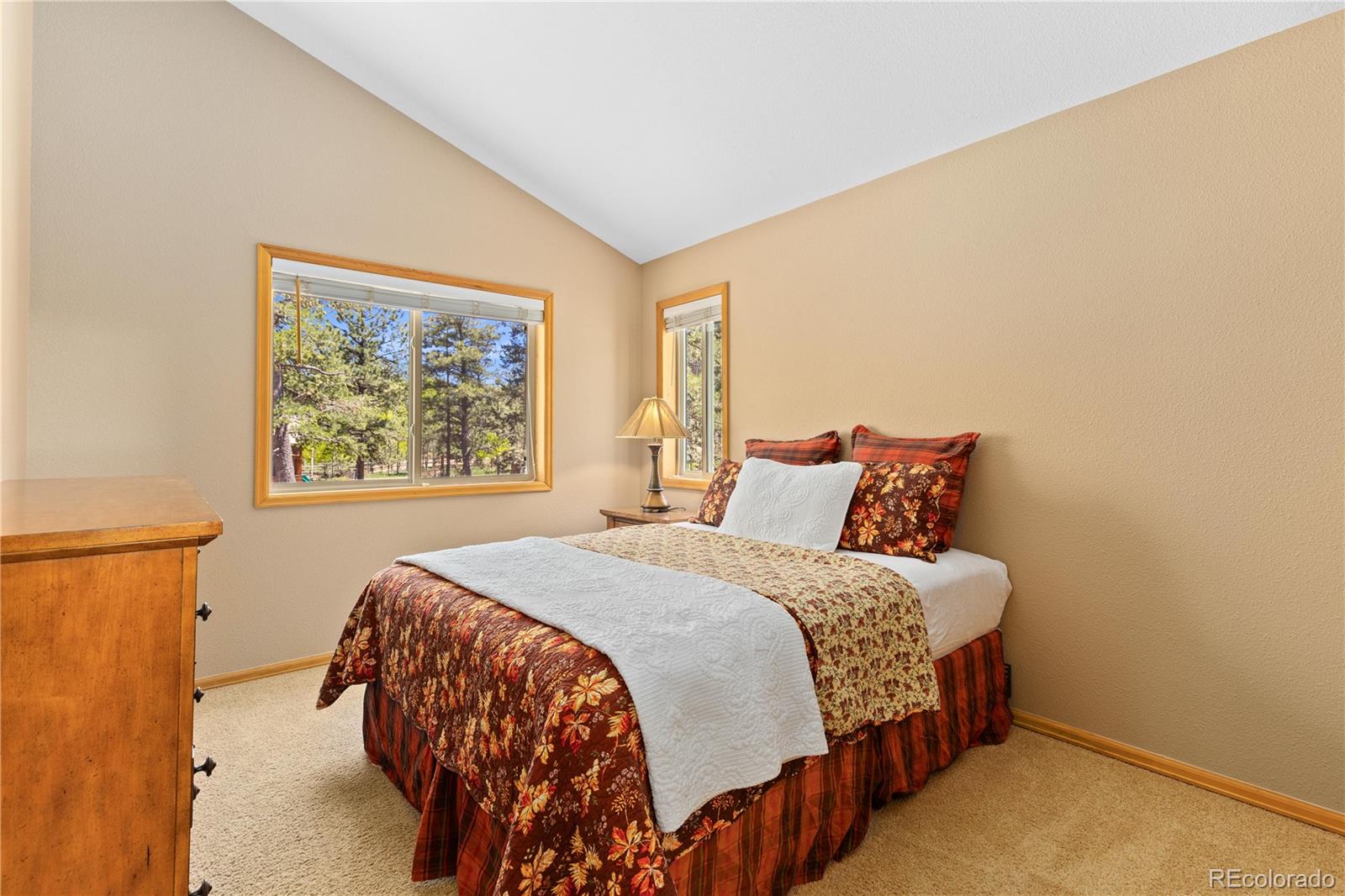 MLS Image #27 for 277  rustlers road,bailey, Colorado