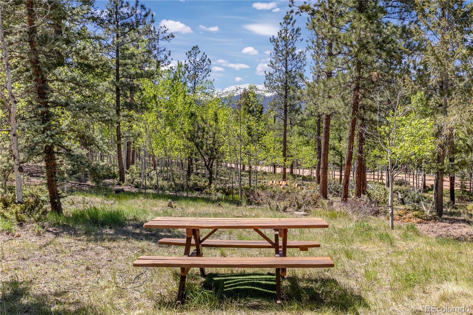 MLS Image #35 for 277  rustlers road,bailey, Colorado