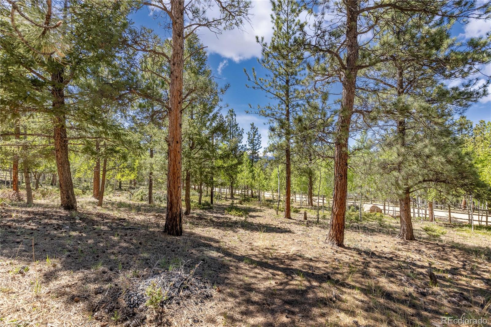 MLS Image #36 for 277  rustlers road,bailey, Colorado