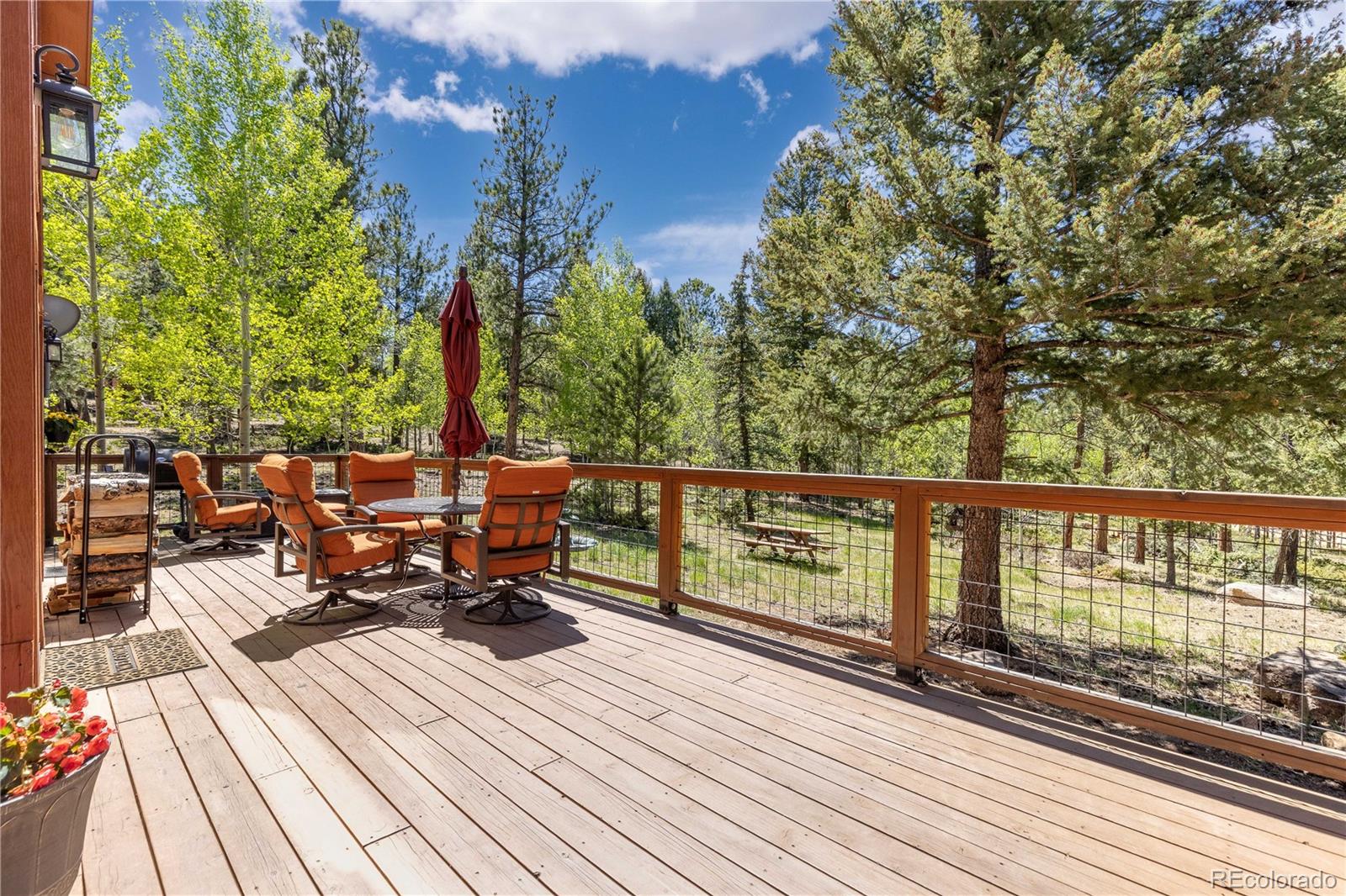 MLS Image #7 for 277  rustlers road,bailey, Colorado