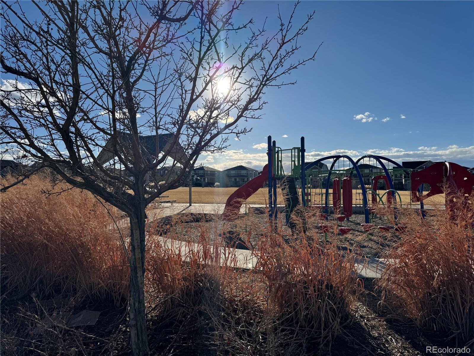 MLS Image #43 for 12264  olive way,thornton, Colorado