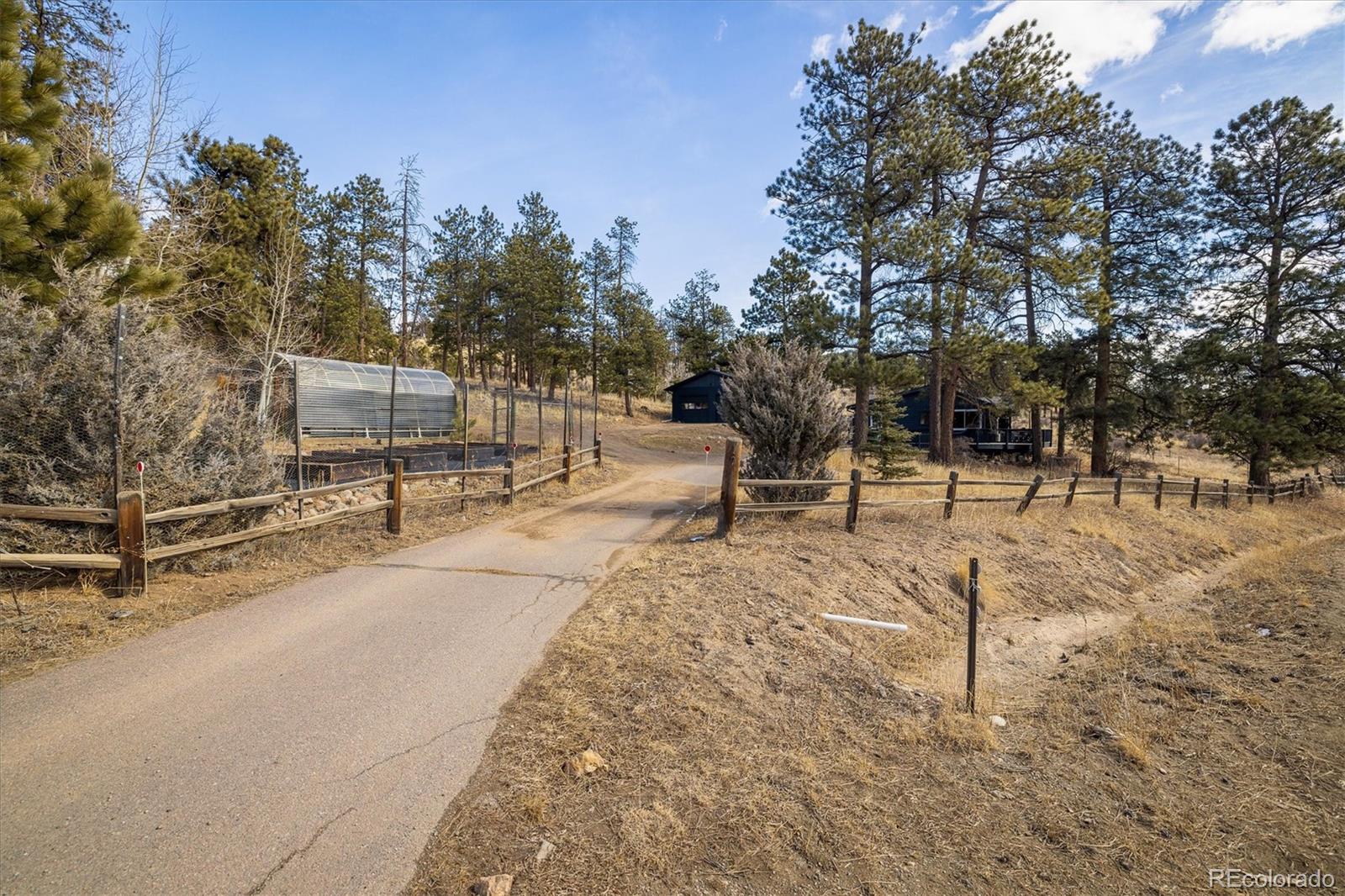 MLS Image #26 for 1279  county road 72 ,bailey, Colorado