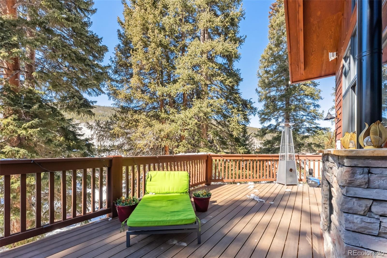 MLS Image #13 for 960  whispering pines lane,breckenridge, Colorado