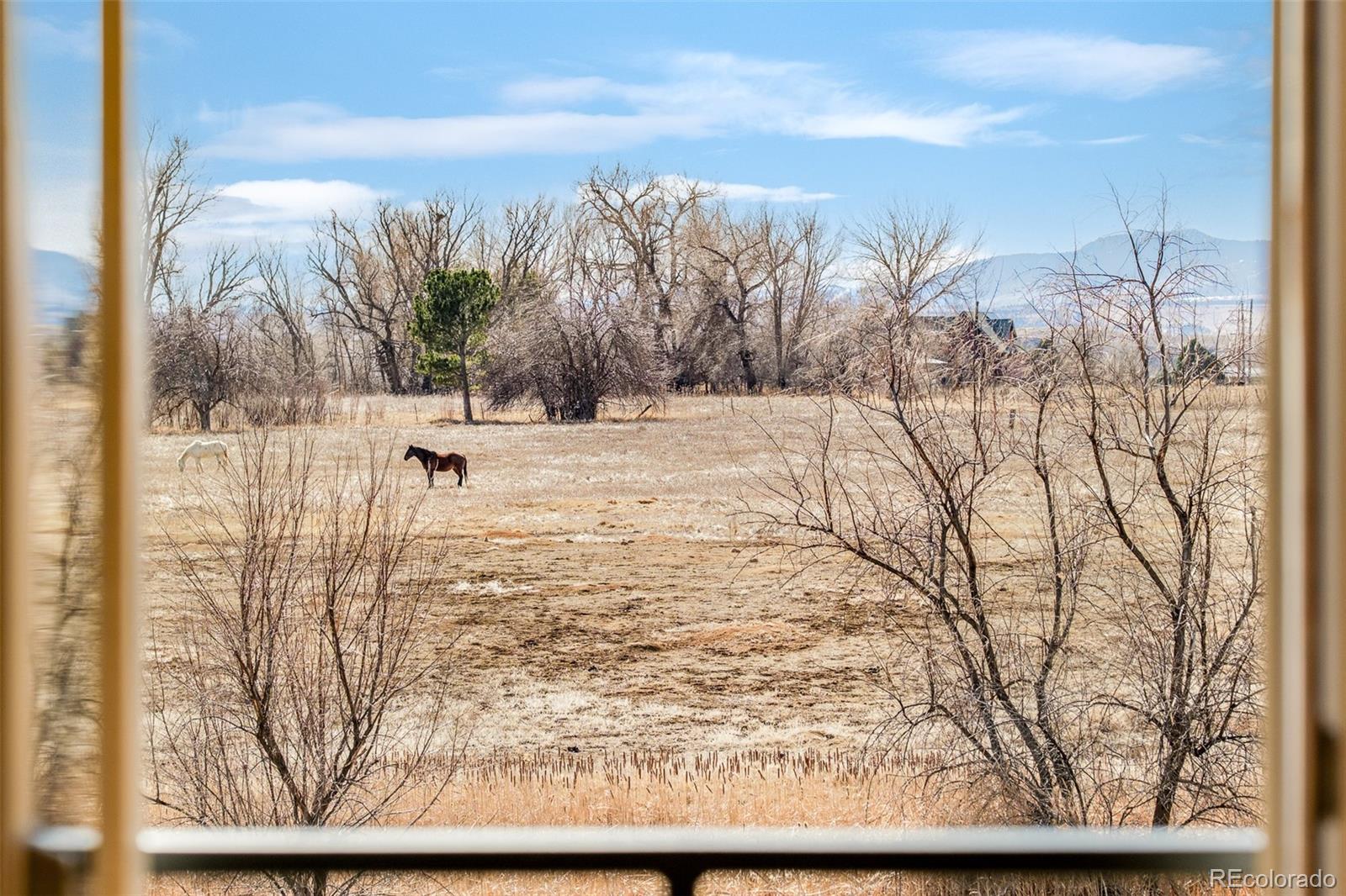 MLS Image #19 for 4547  tally ho trail,boulder, Colorado