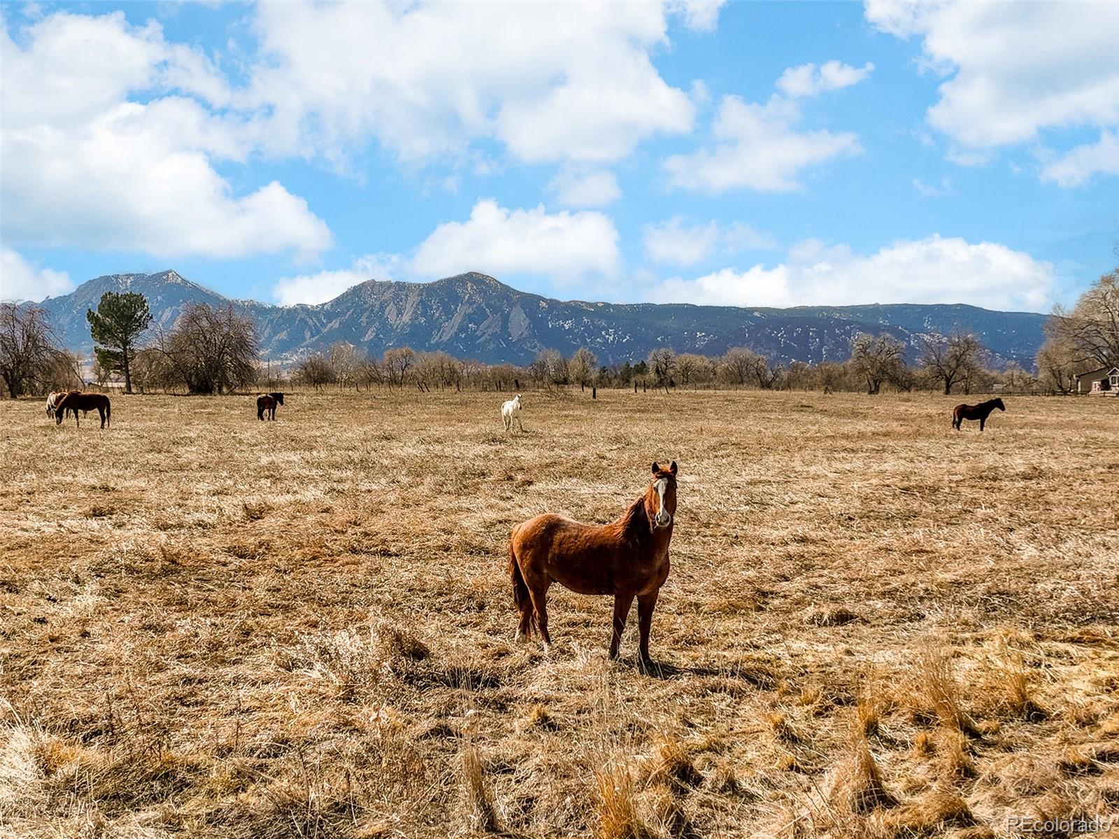 MLS Image #36 for 4547  tally ho trail,boulder, Colorado