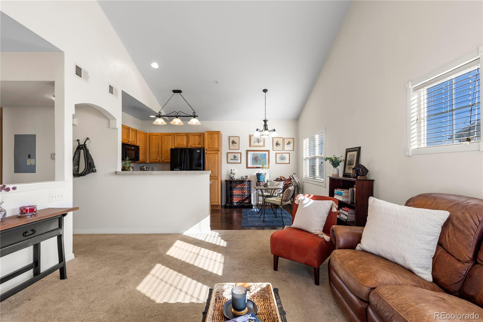 MLS Image #10 for 9307  amison circle,parker, Colorado