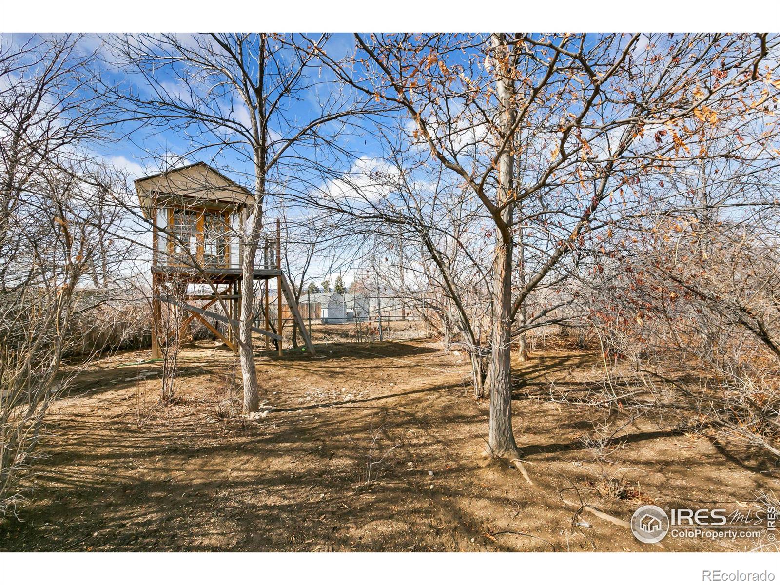 MLS Image #20 for 1005 s edinburgh drive,loveland, Colorado