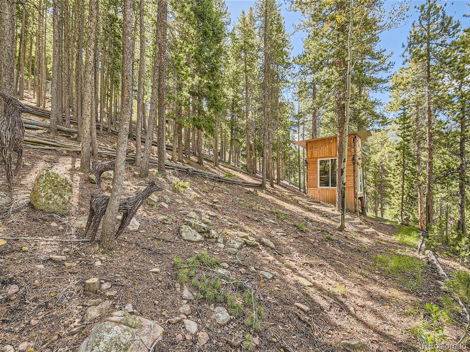 MLS Image #40 for 8451  london lane,conifer, Colorado