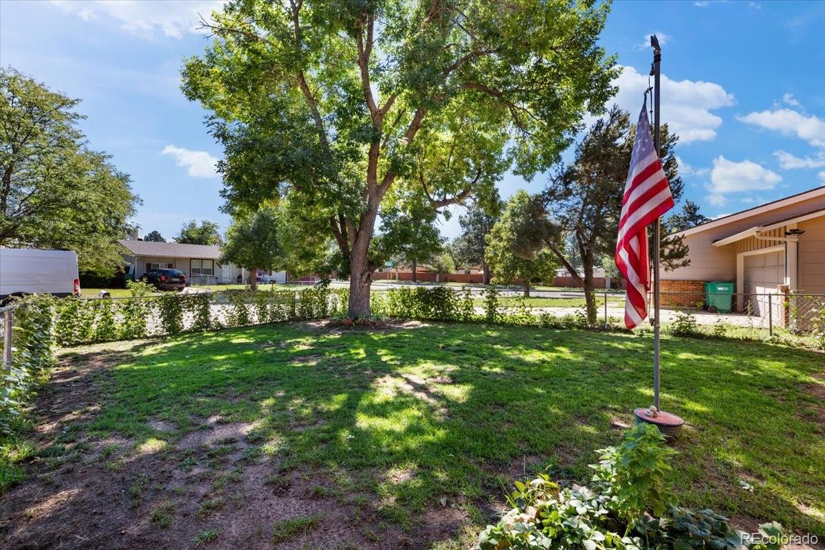 MLS Image #41 for    ,, Colorado