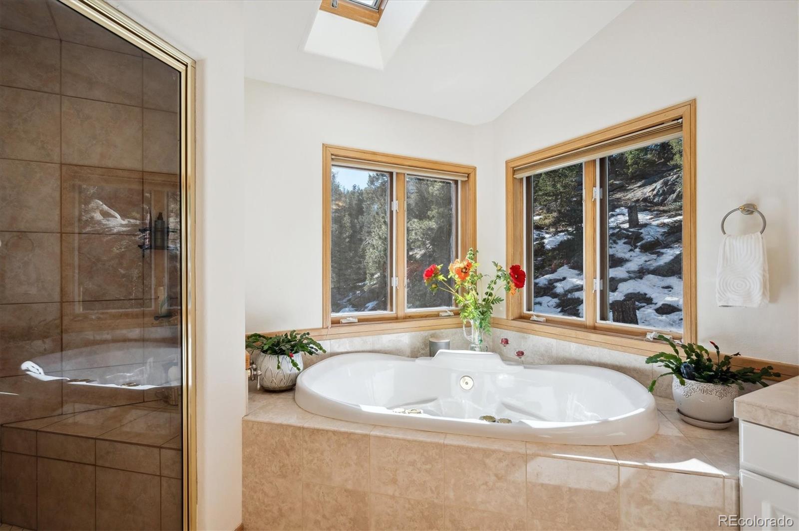 MLS Image #20 for 4520  forest hill road,evergreen, Colorado