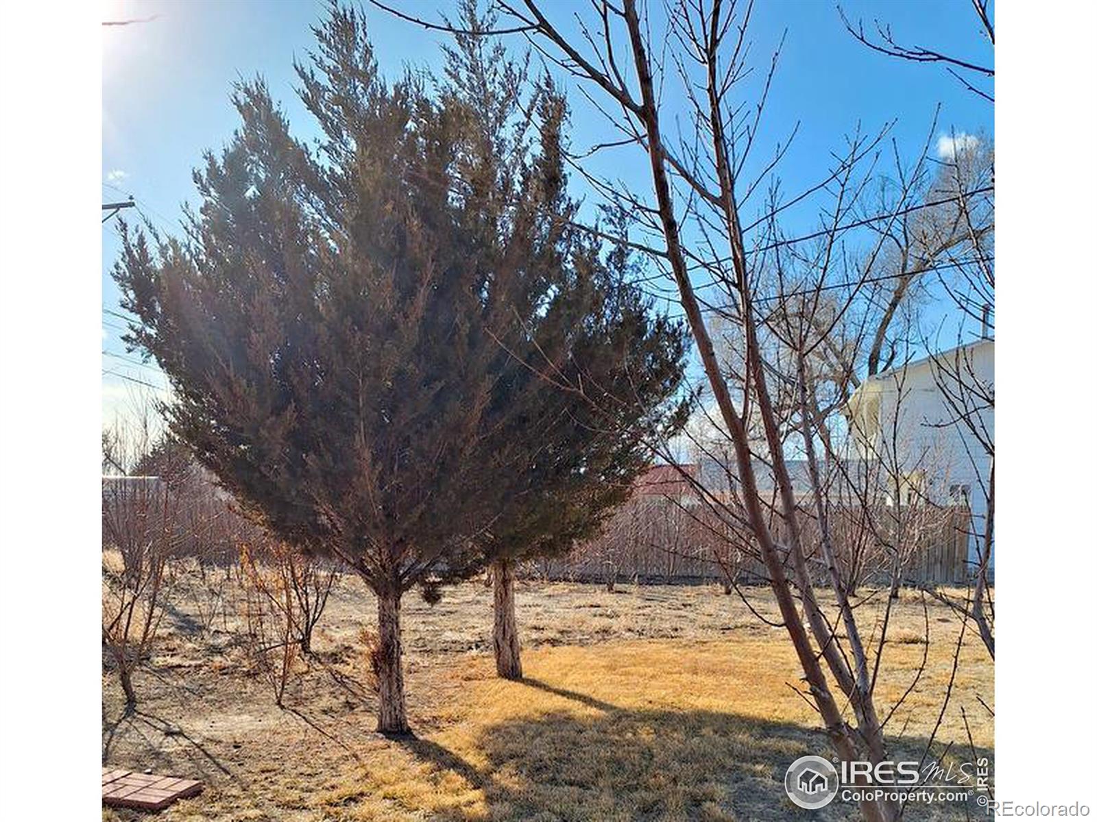 MLS Image #25 for 721  douglas street,sterling, Colorado