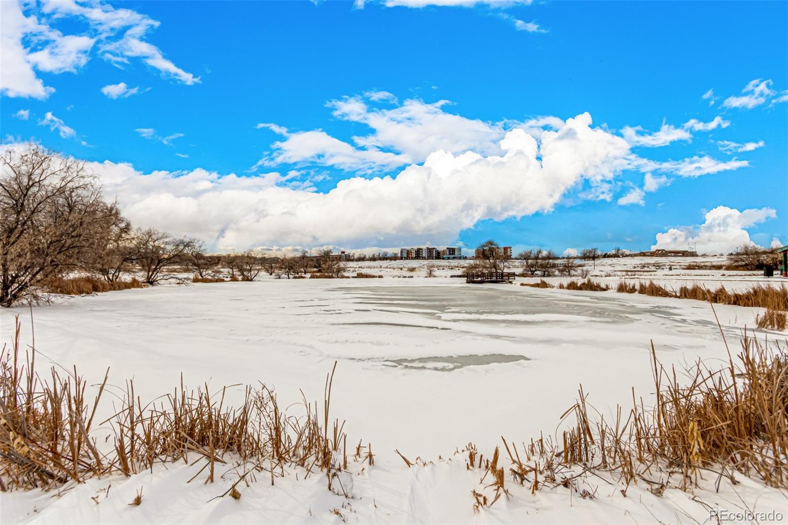 MLS Image #24 for 4950  homestead place,thornton, Colorado