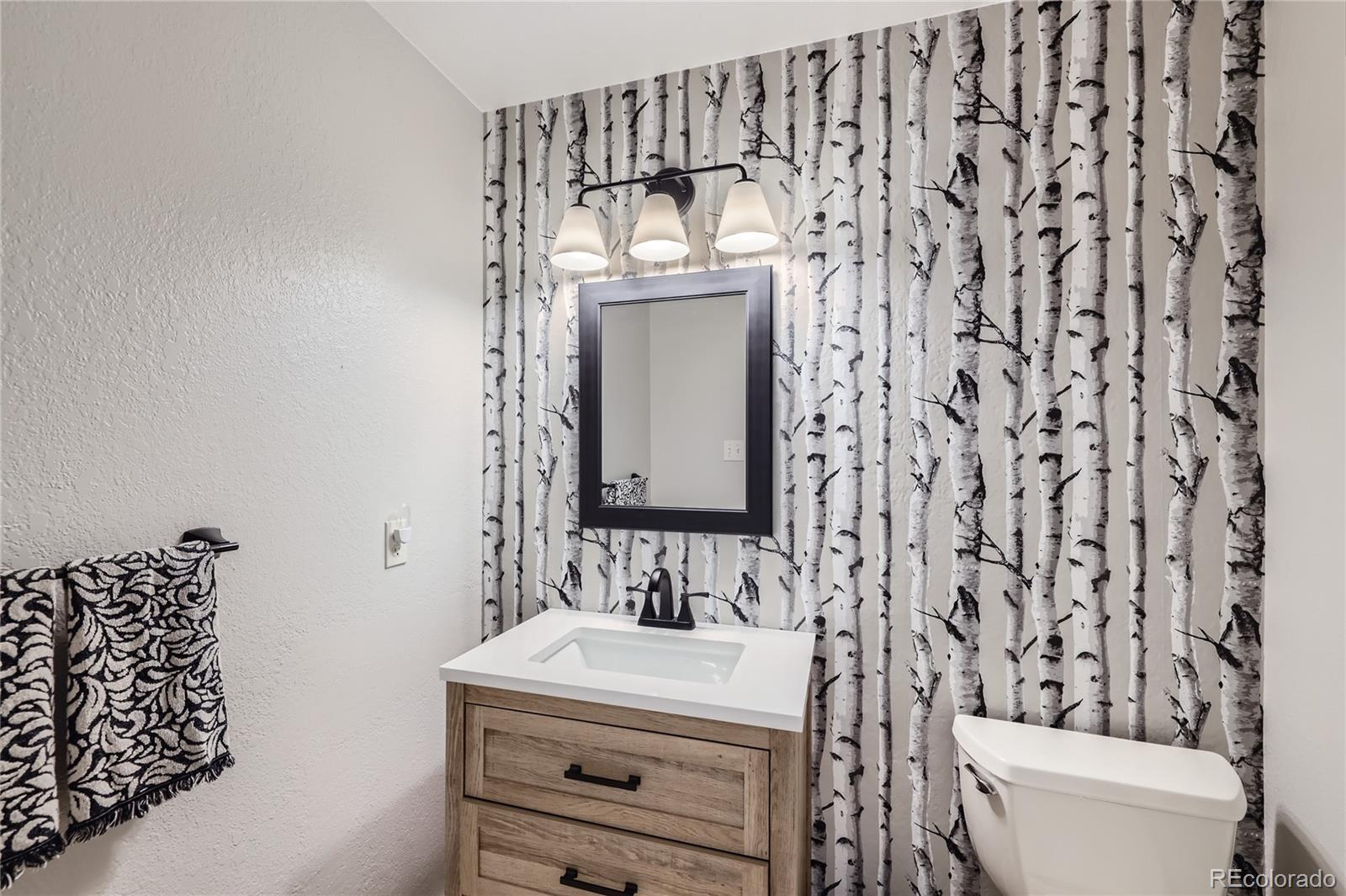 MLS Image #14 for 2923 w bryant circle,littleton, Colorado