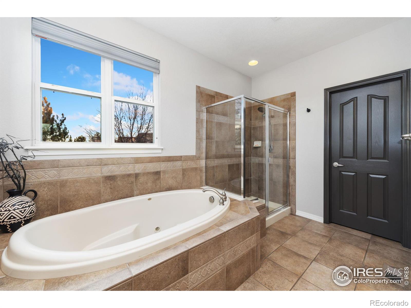 MLS Image #17 for 2785  anchorage court,loveland, Colorado