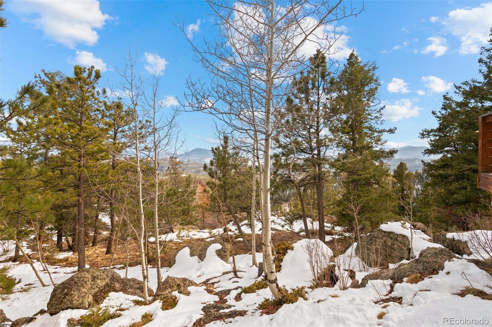 MLS Image #29 for 31207  kings valley drive,conifer, Colorado