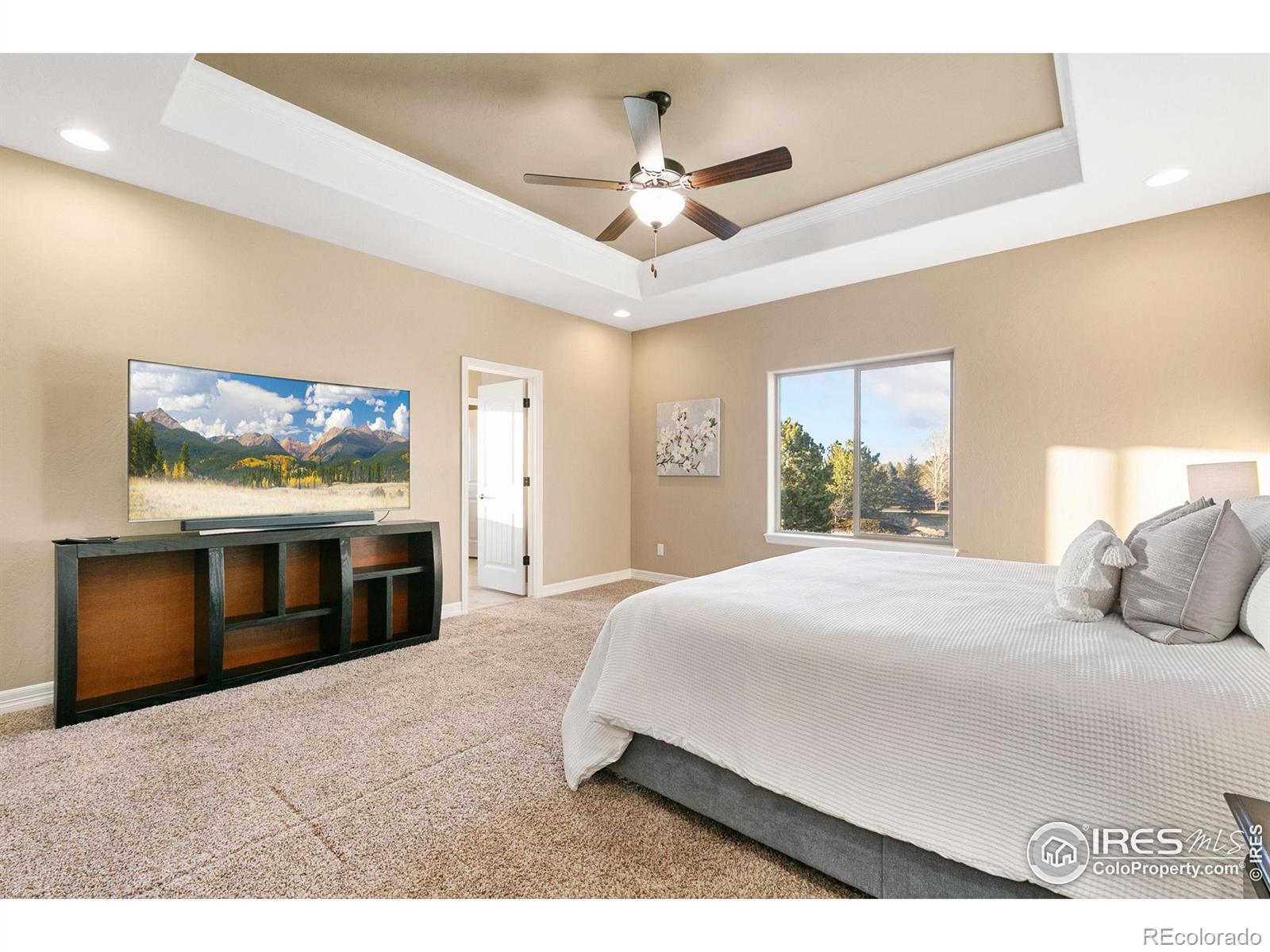 MLS Image #18 for 5240  kellan court,timnath, Colorado