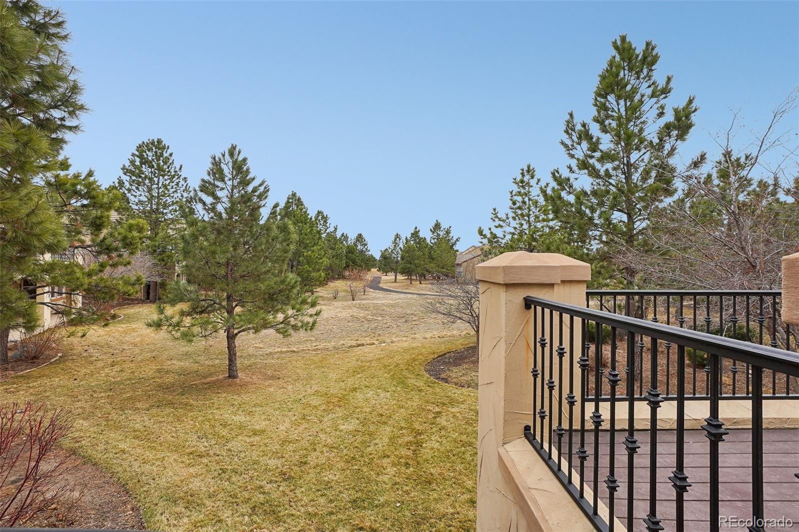 MLS Image #32 for 5035  vermillion drive,castle rock, Colorado