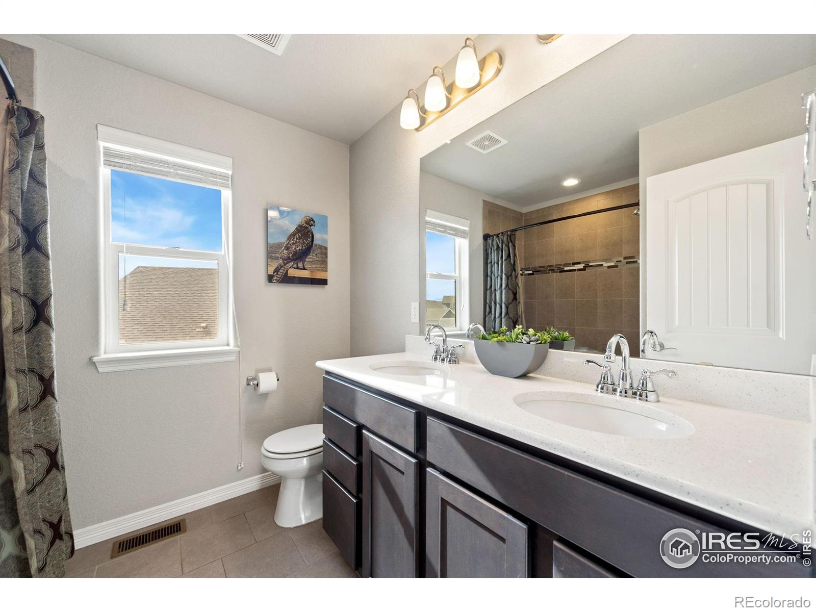 MLS Image #19 for 5473  segundo drive,loveland, Colorado