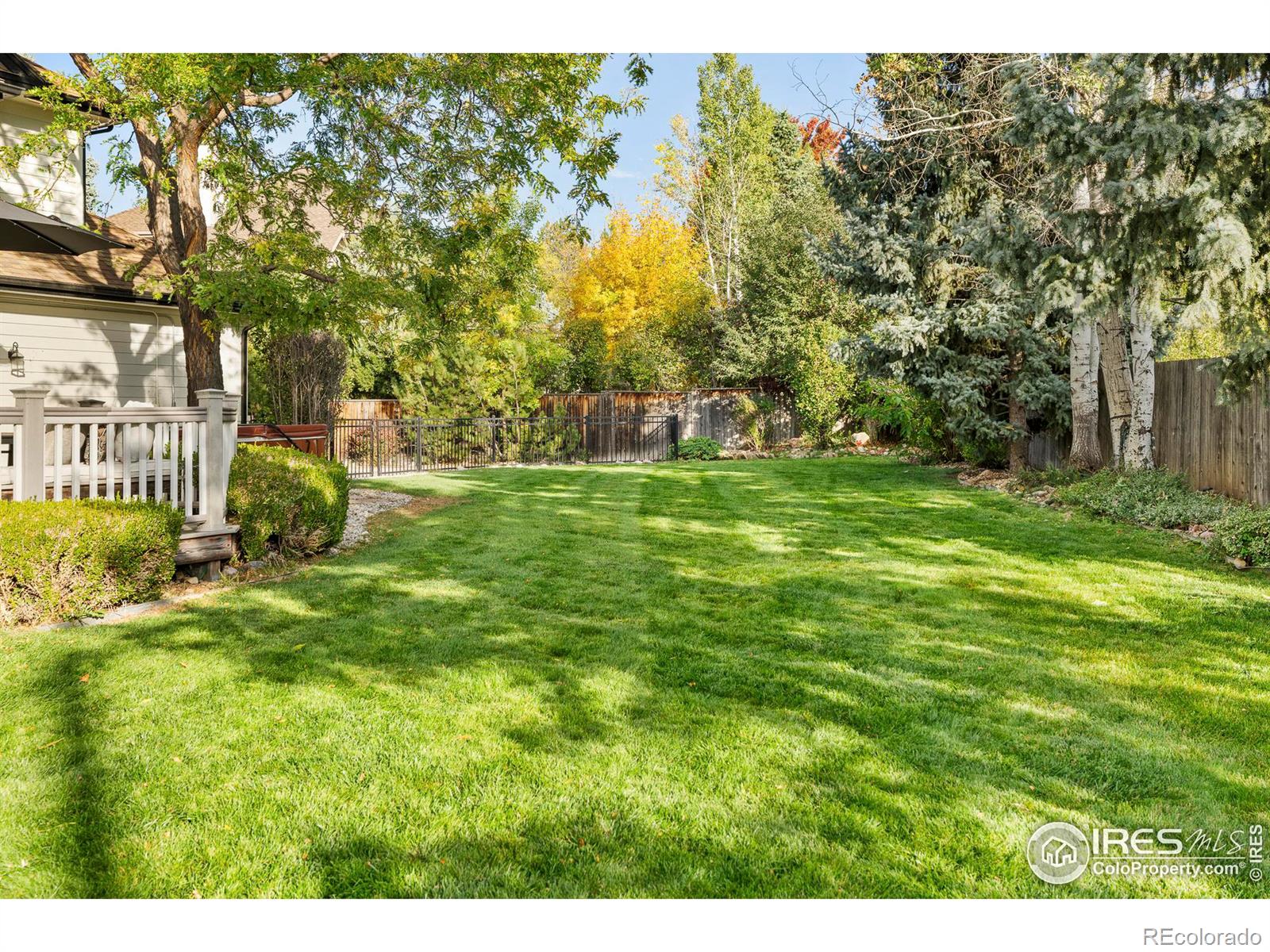 MLS Image #7 for 1158  pintail circle,boulder, Colorado