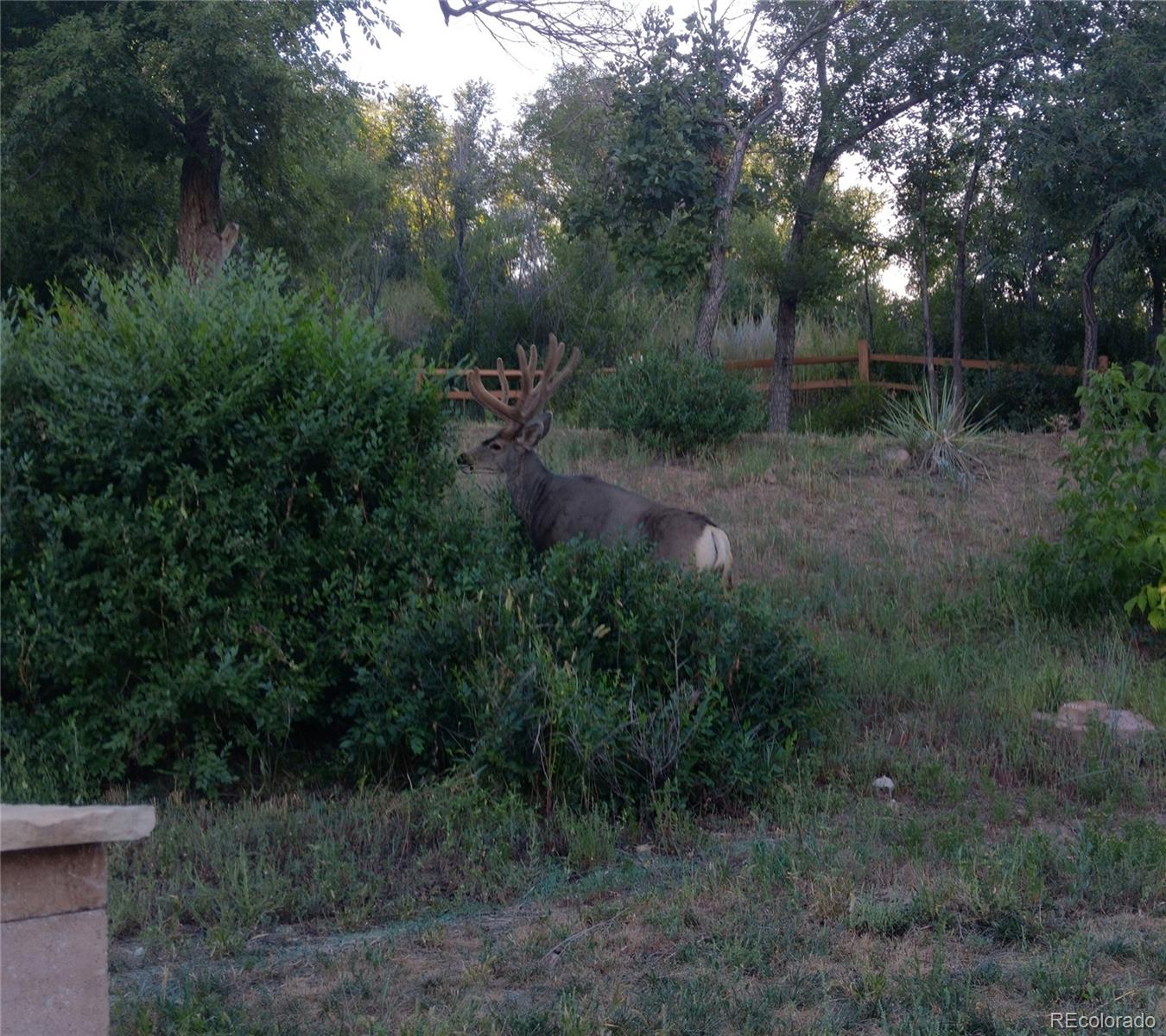 MLS Image #28 for 133 n 13th street,colorado springs, Colorado