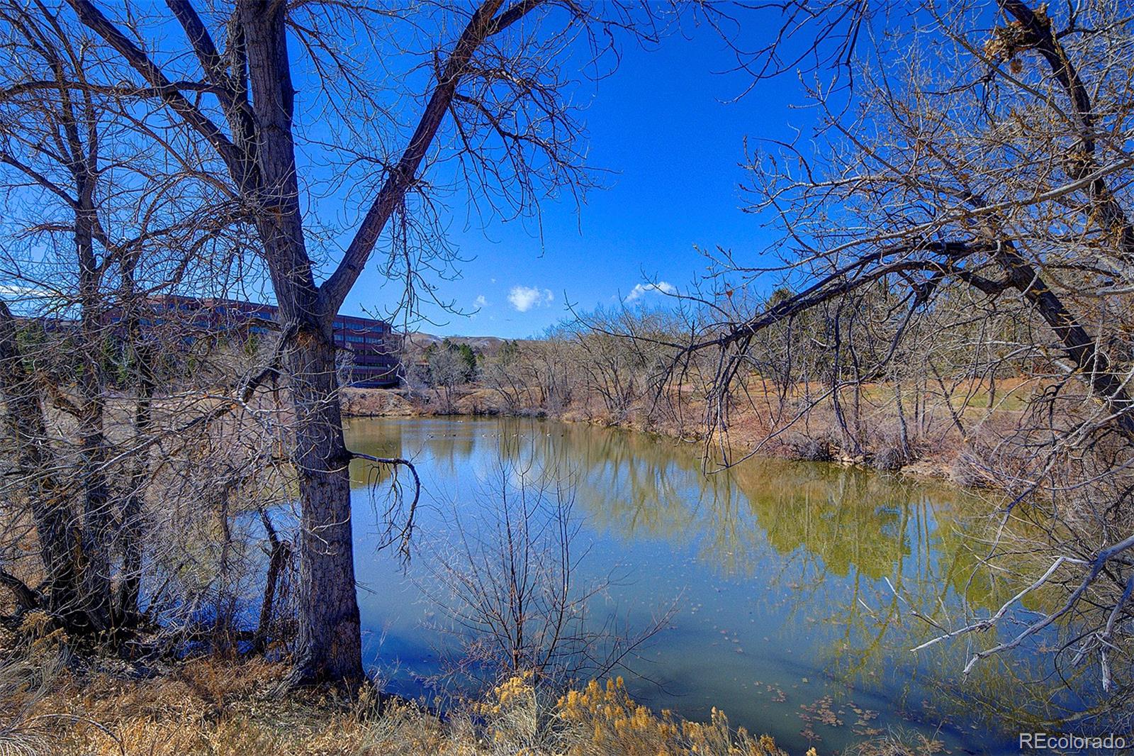 MLS Image #46 for 283  yank court,lakewood, Colorado