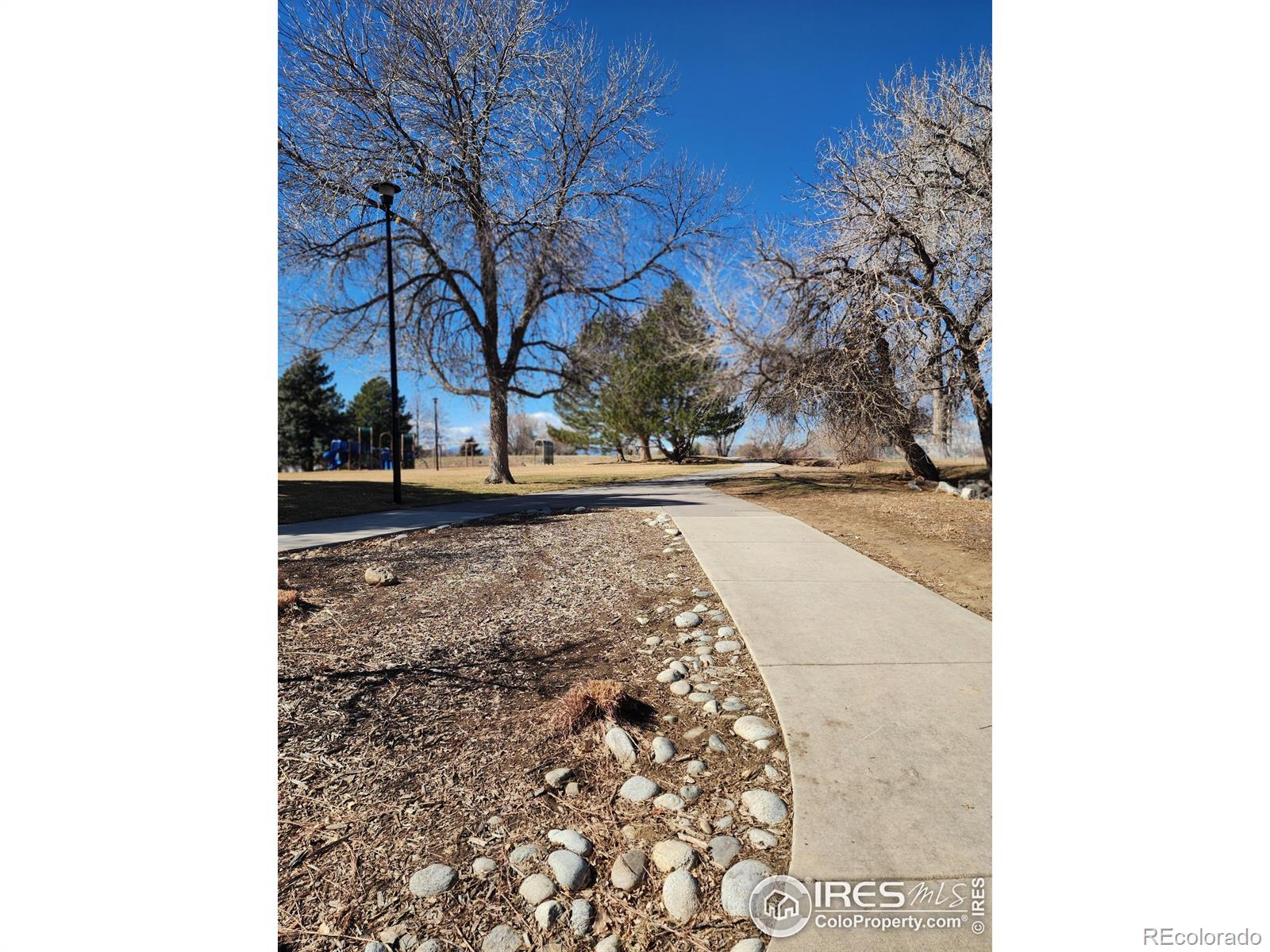 MLS Image #19 for 11671  garfield street,thornton, Colorado