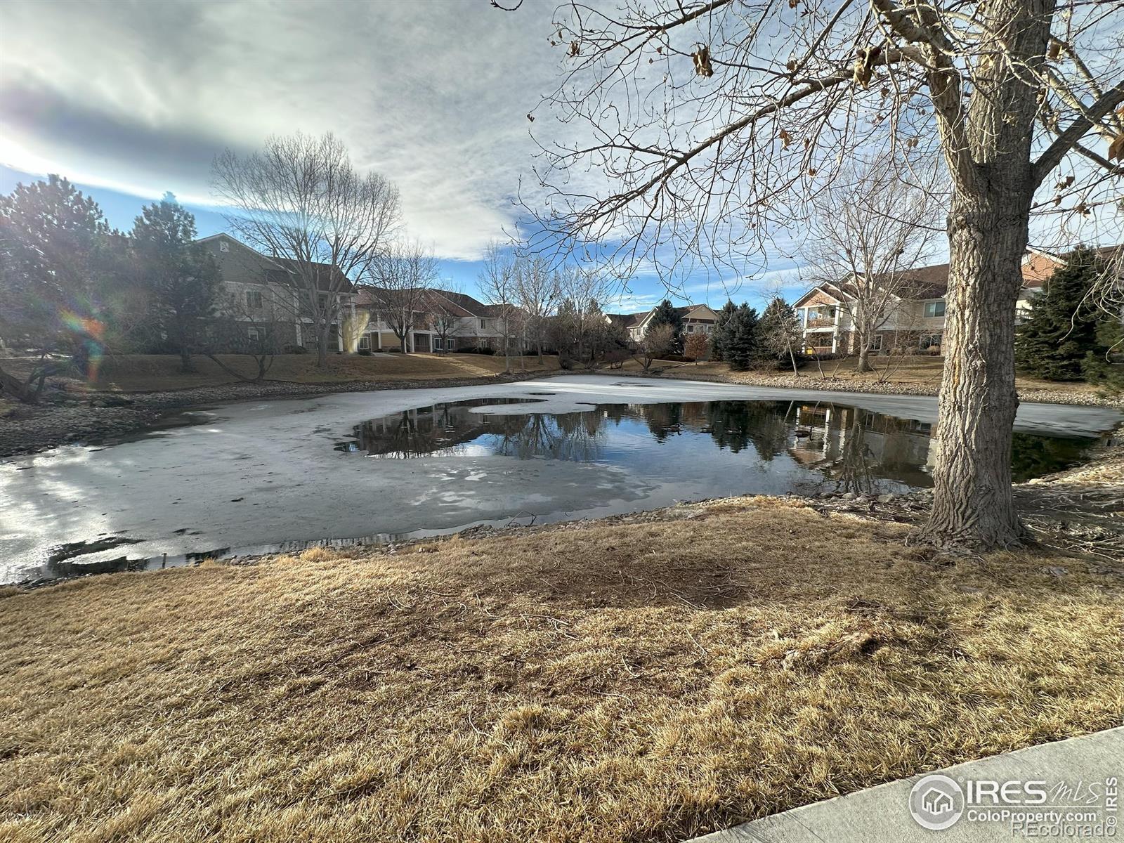 MLS Image #27 for 4645  hahns peak drive,loveland, Colorado
