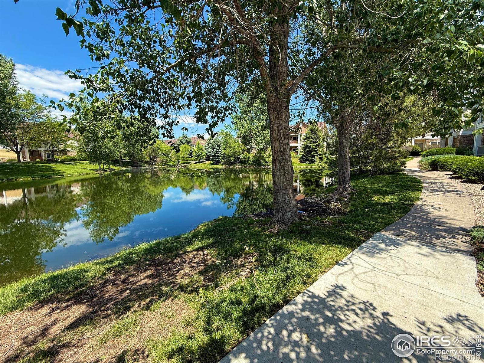 MLS Image #30 for 4645  hahns peak drive,loveland, Colorado
