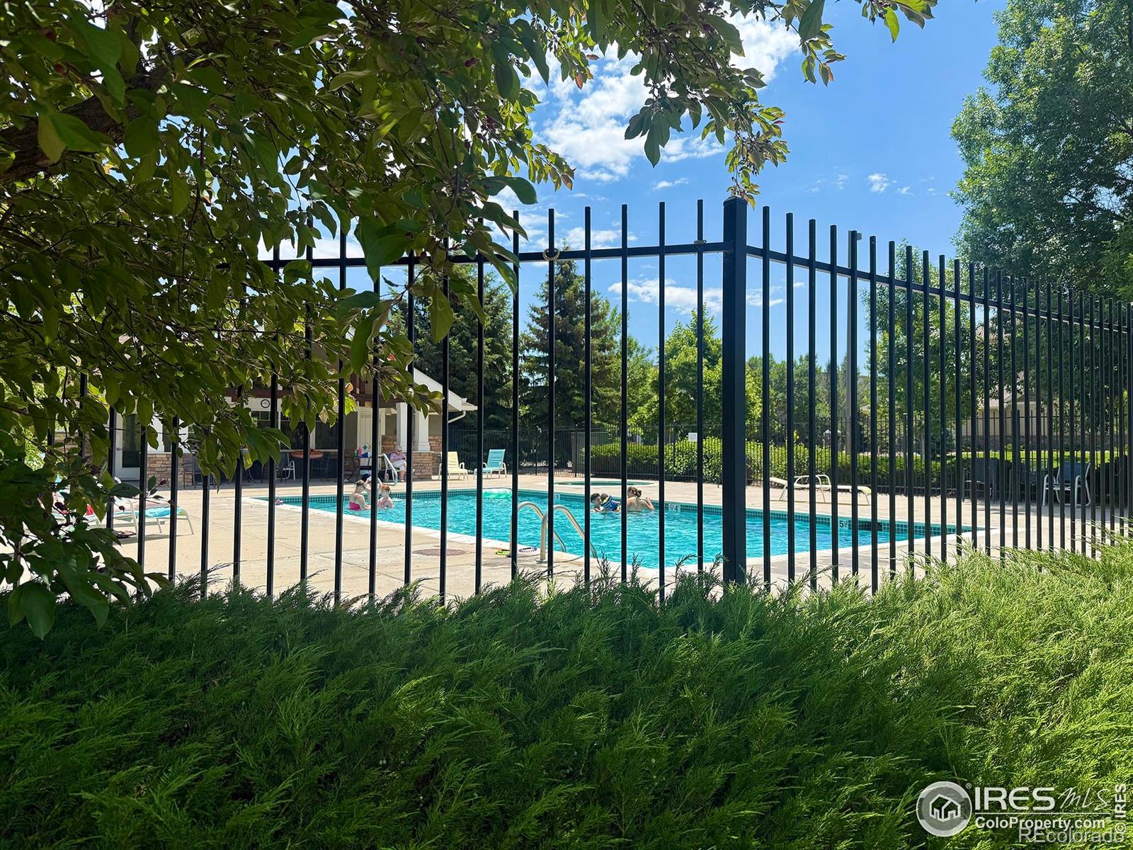 MLS Image #33 for 4645  hahns peak drive,loveland, Colorado