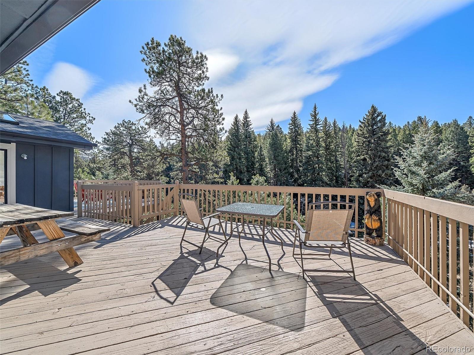 MLS Image #13 for 30858  niakwa road,evergreen, Colorado