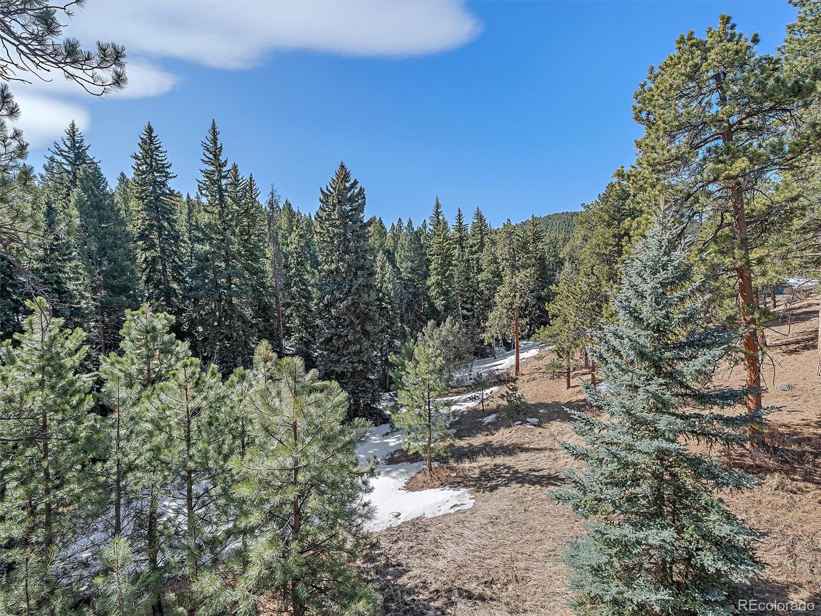 MLS Image #22 for 30858  niakwa road,evergreen, Colorado