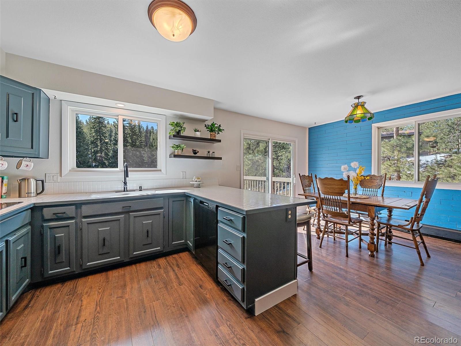 MLS Image #6 for 30858  niakwa road,evergreen, Colorado