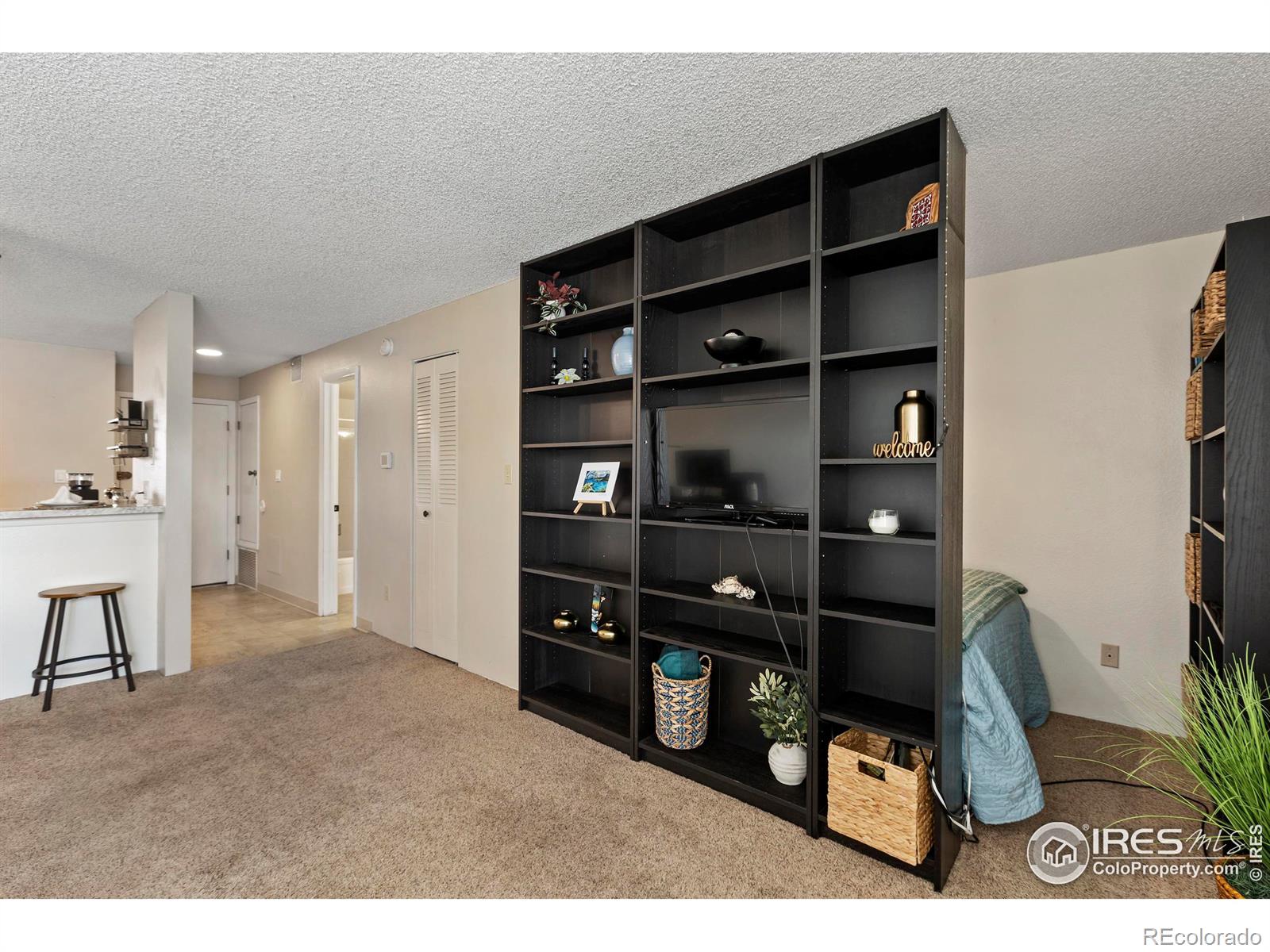 MLS Image #13 for 1705  heatheridge road,fort collins, Colorado