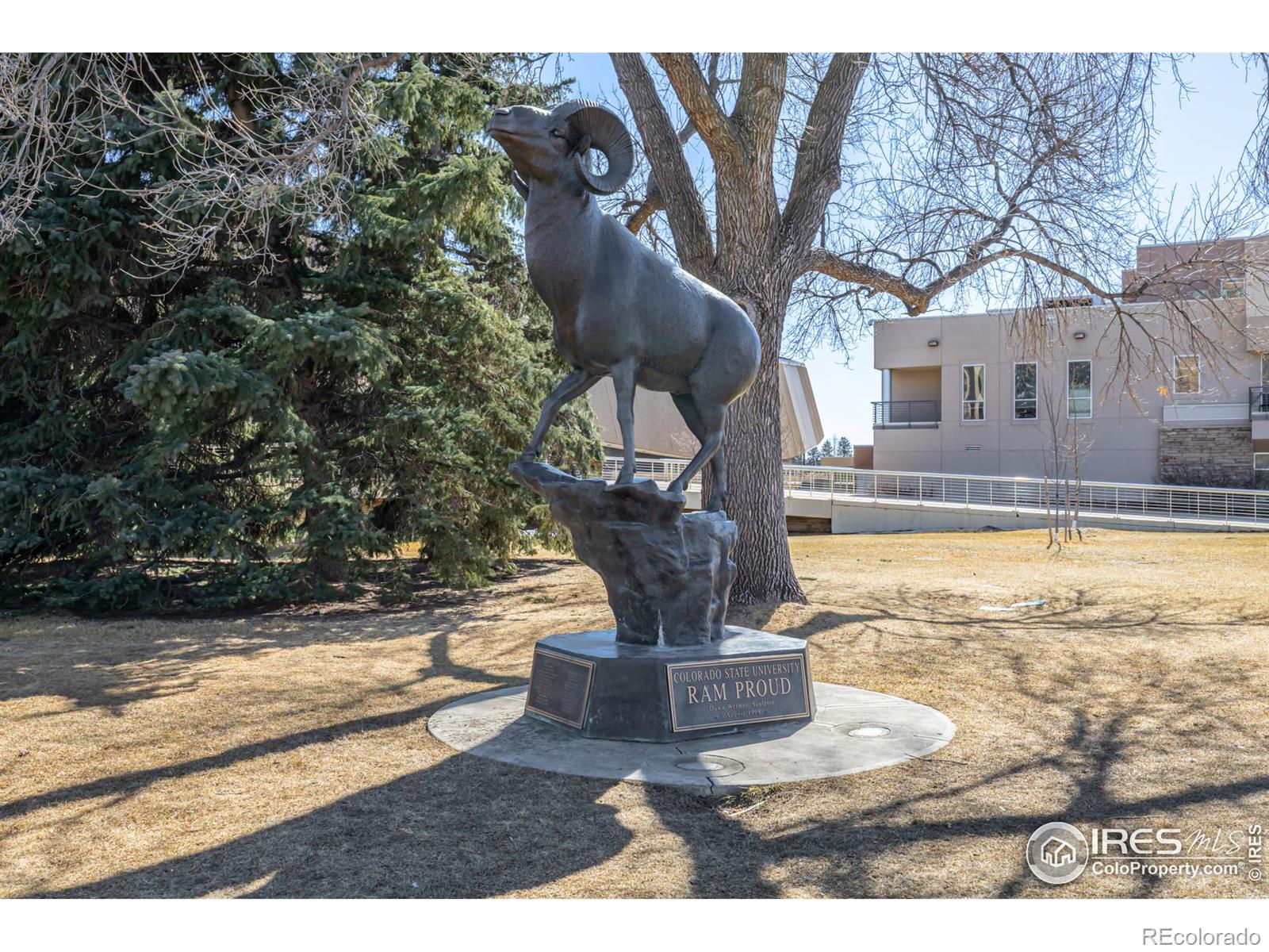 MLS Image #24 for 1209 w plum street,fort collins, Colorado