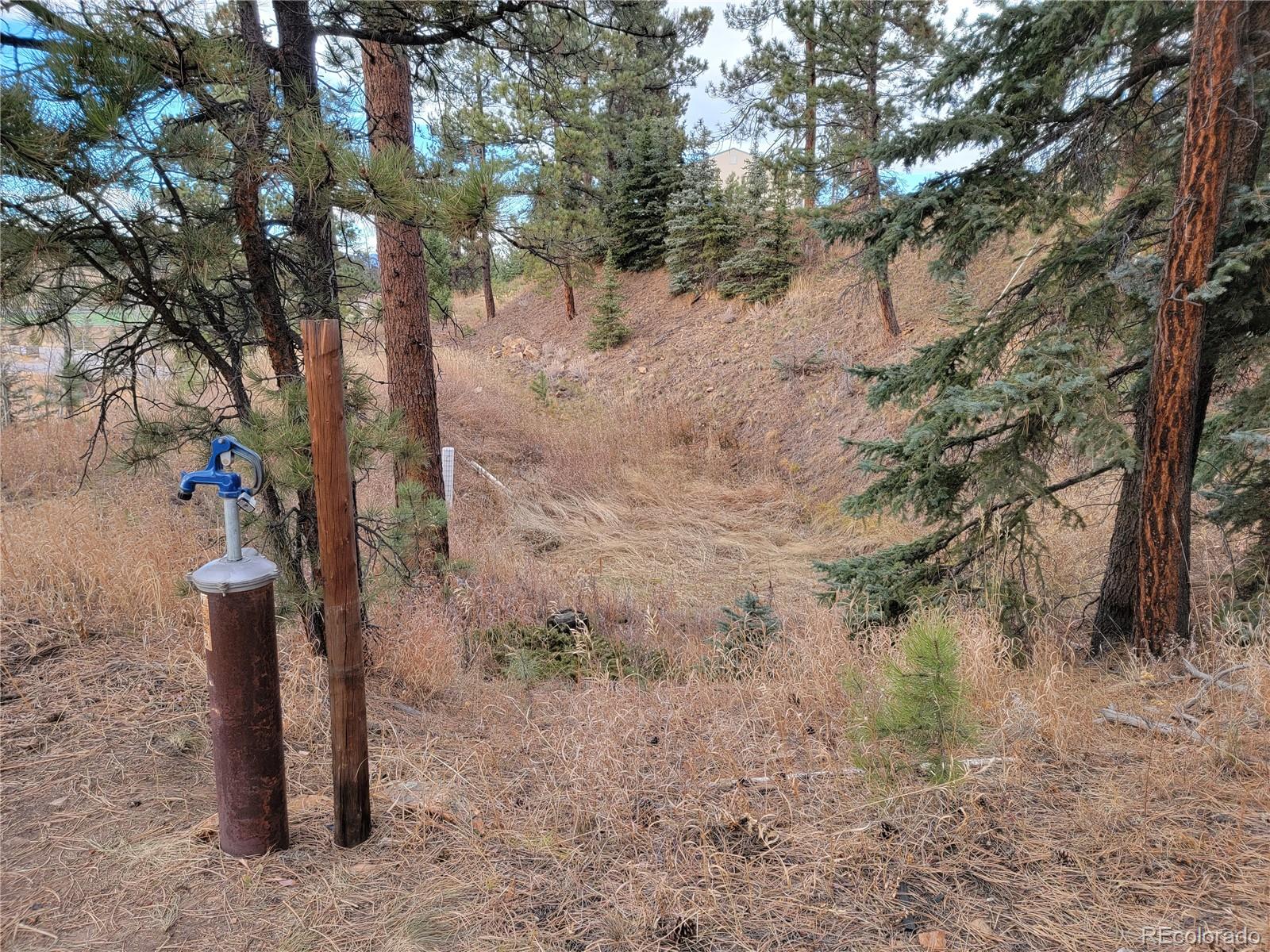 MLS Image #37 for 10550  highway 73 ,conifer, Colorado