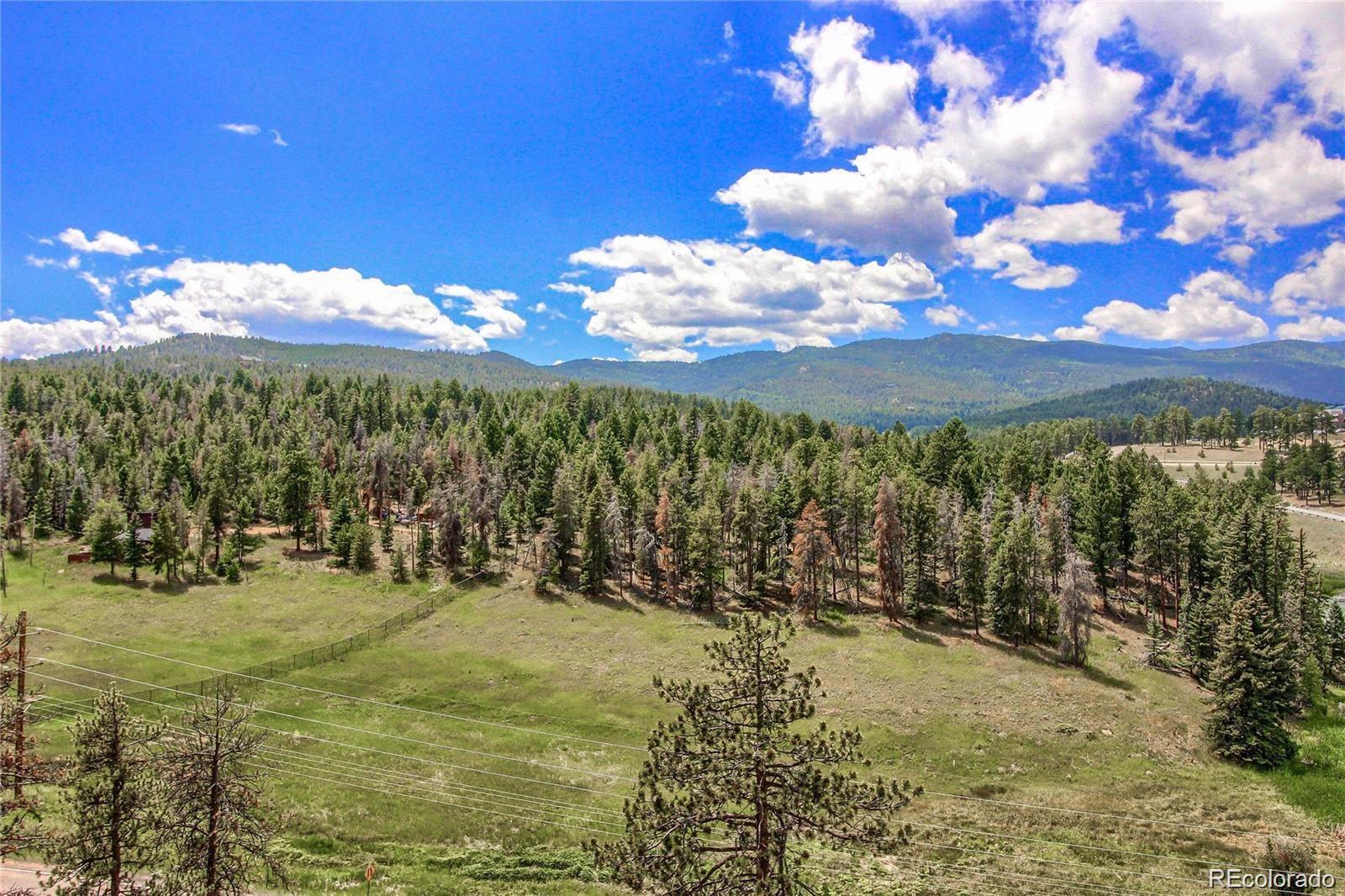 MLS Image #8 for 10550  highway 73 ,conifer, Colorado