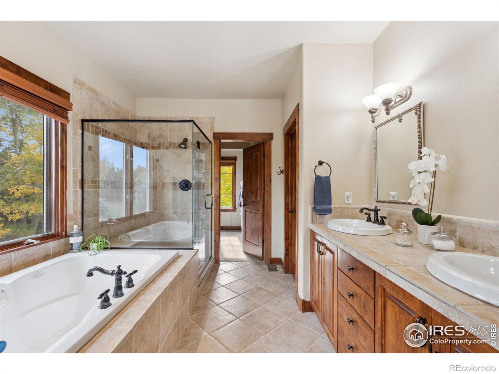 MLS Image #10 for 3602  rocky stream drive,fort collins, Colorado