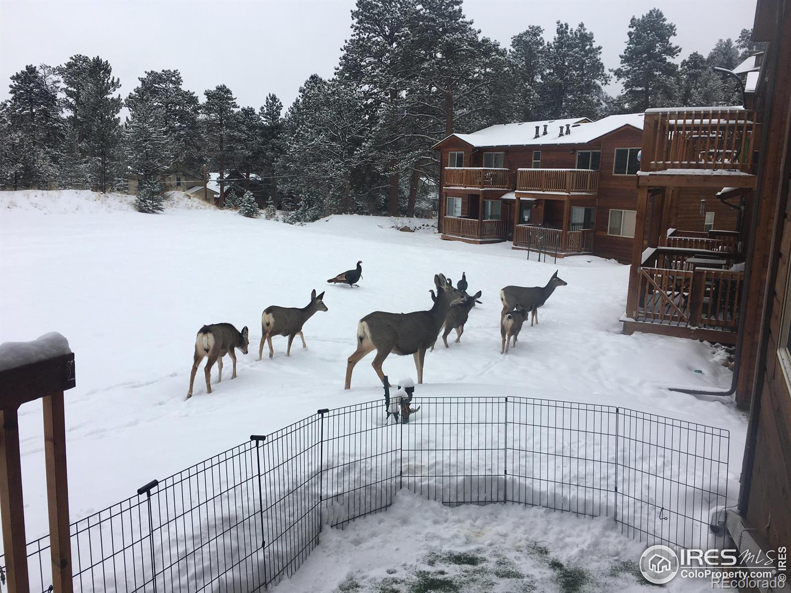 MLS Image #21 for 507  fall river lane,estes park, Colorado