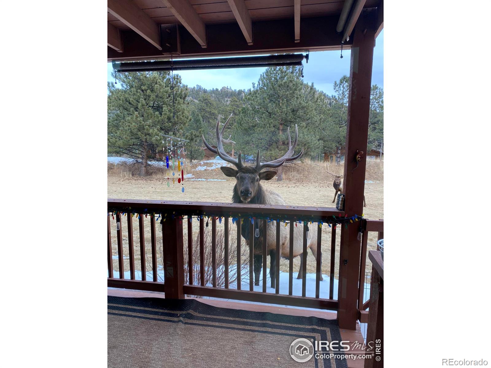 MLS Image #22 for 507  fall river lane,estes park, Colorado