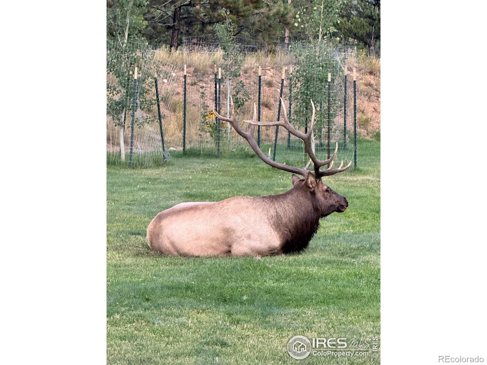 MLS Image #23 for 507  fall river lane,estes park, Colorado