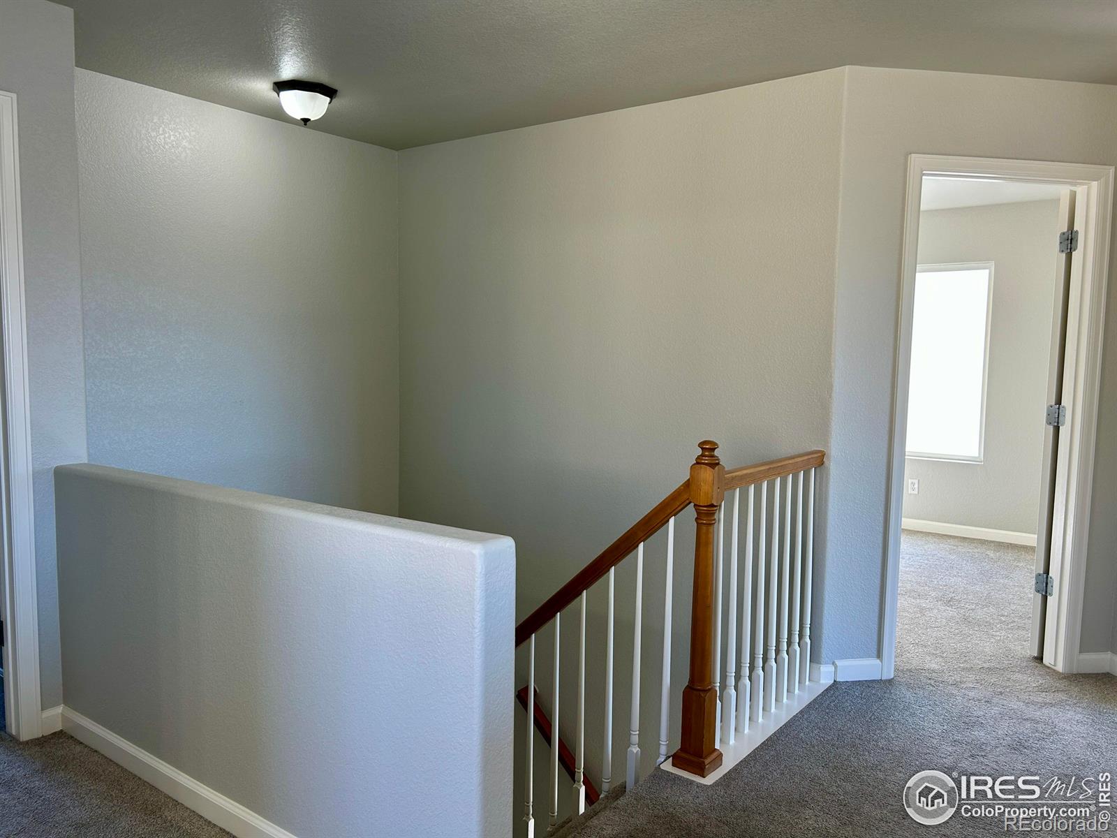 MLS Image #14 for 4660  odessa street,denver, Colorado