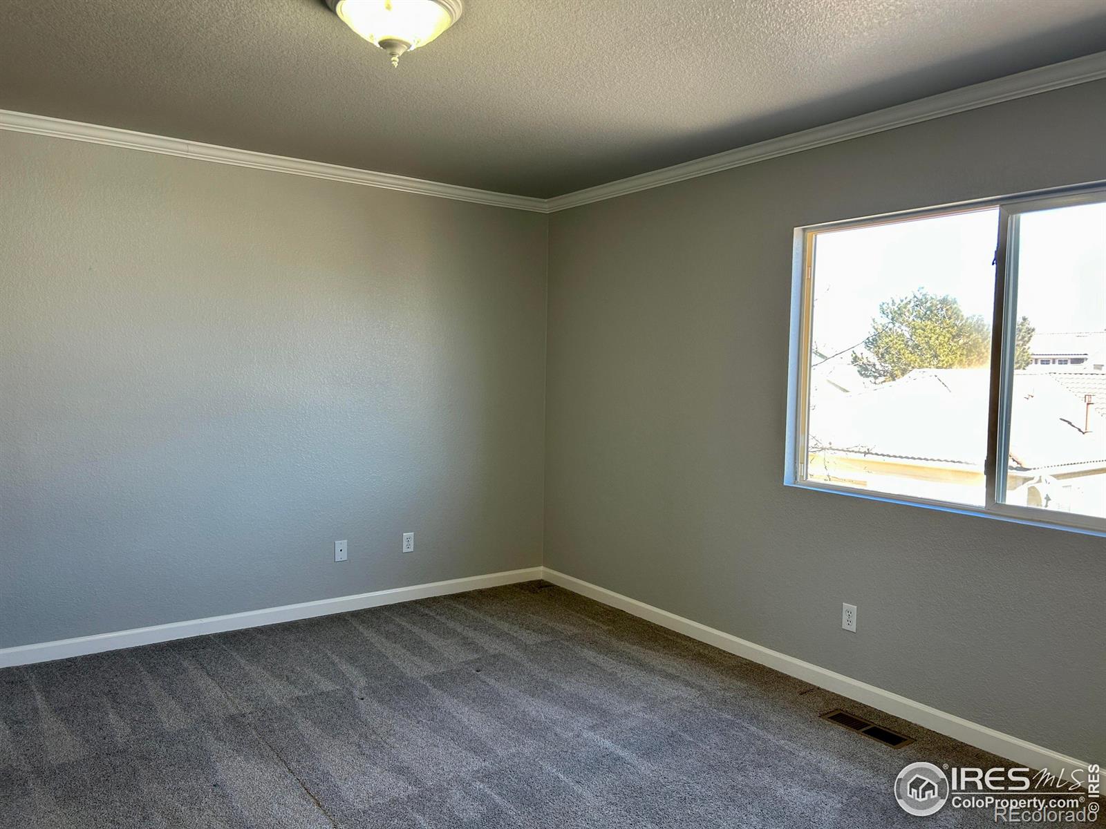 MLS Image #16 for 4660  odessa street,denver, Colorado