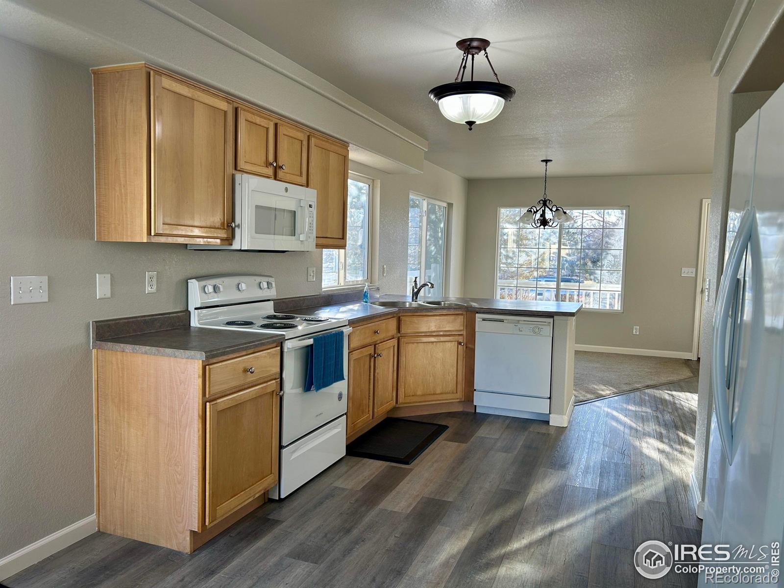 MLS Image #2 for 4660  odessa street,denver, Colorado