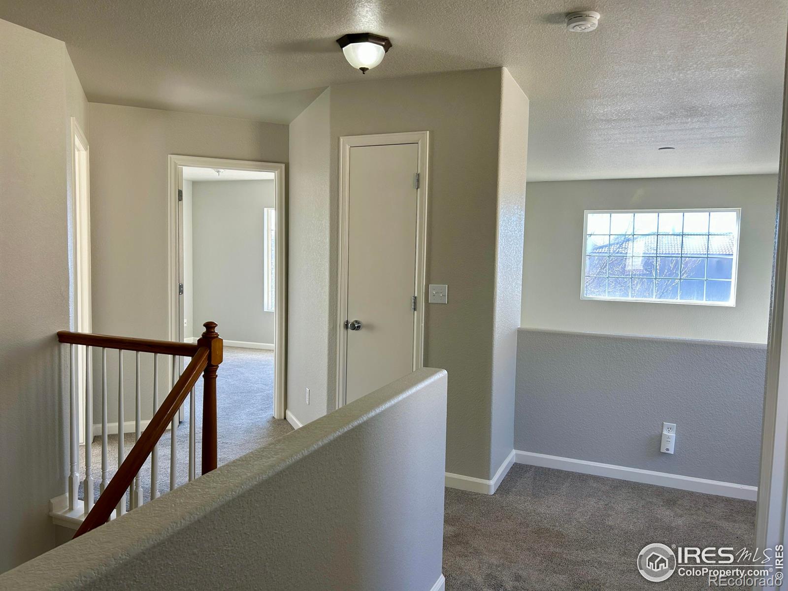 MLS Image #20 for 4660  odessa street,denver, Colorado